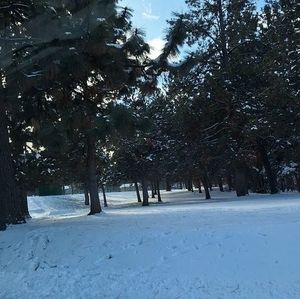 Meet your Posher, Yeny